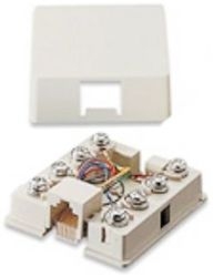 Leviton - Biscuit Jack 6P4C White