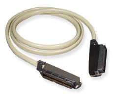 ICC - 25 Pair Male Male Amp 10'