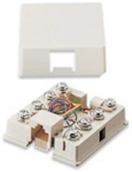 Leviton - Biscuit Jack 6P4C White