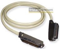 ICC - 25 Pair Female Female Amp 10'